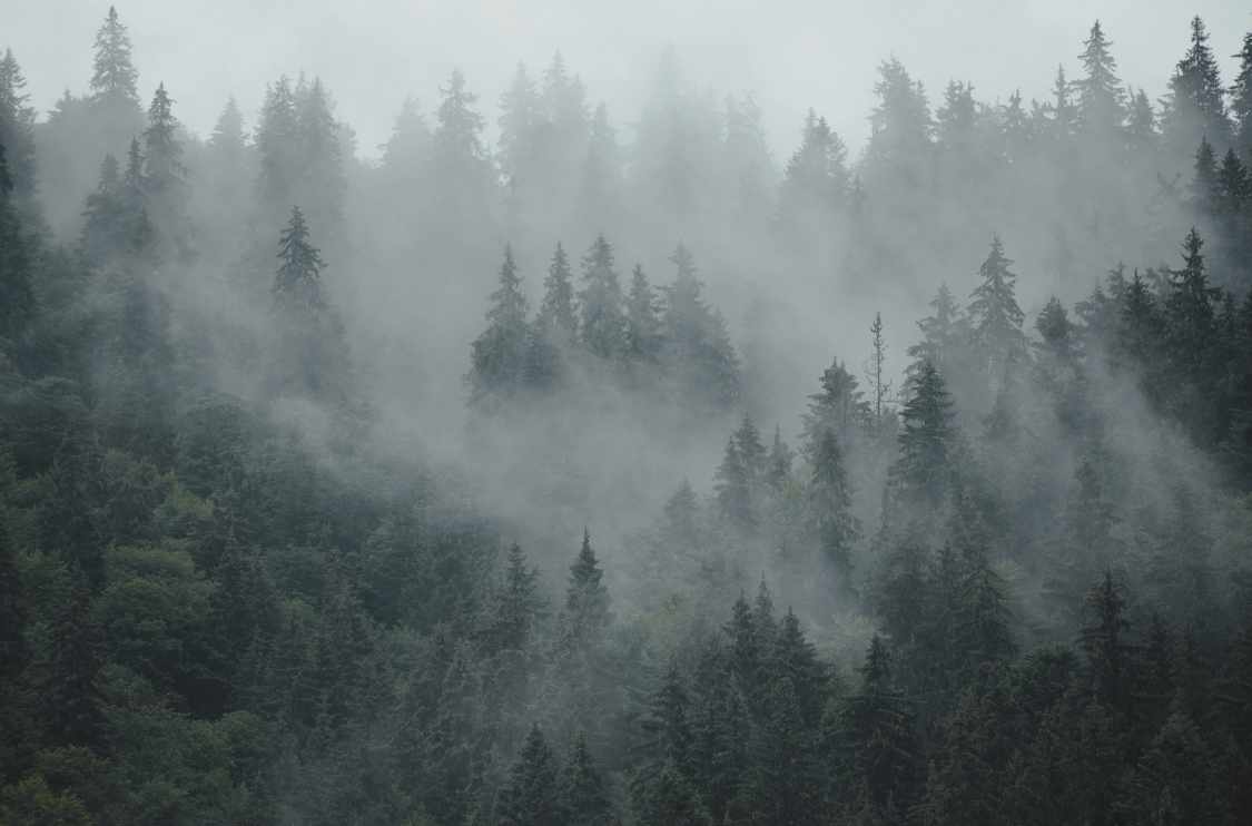 Atmospheric landscape